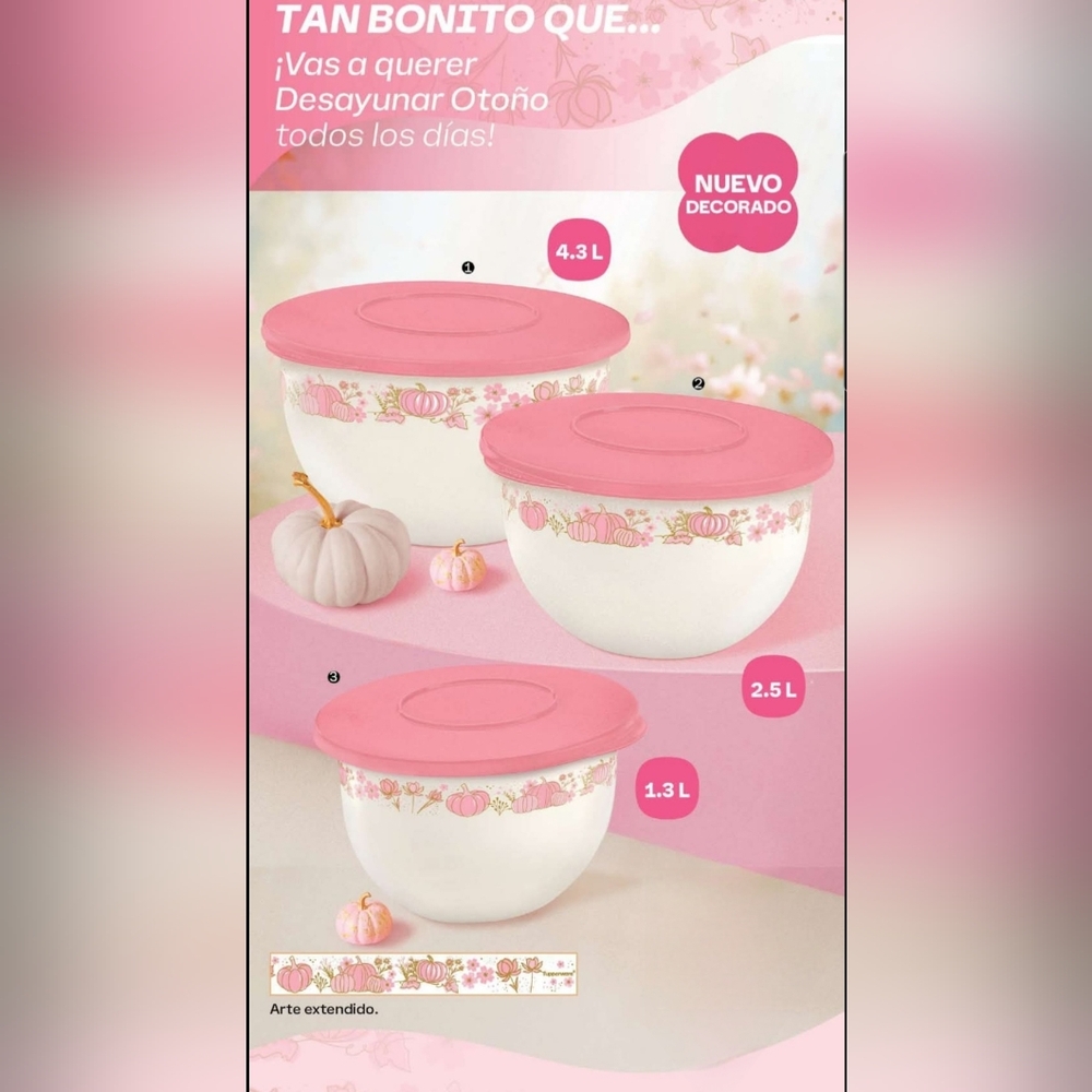 Tupperware Pink and White Impression Bowl Set